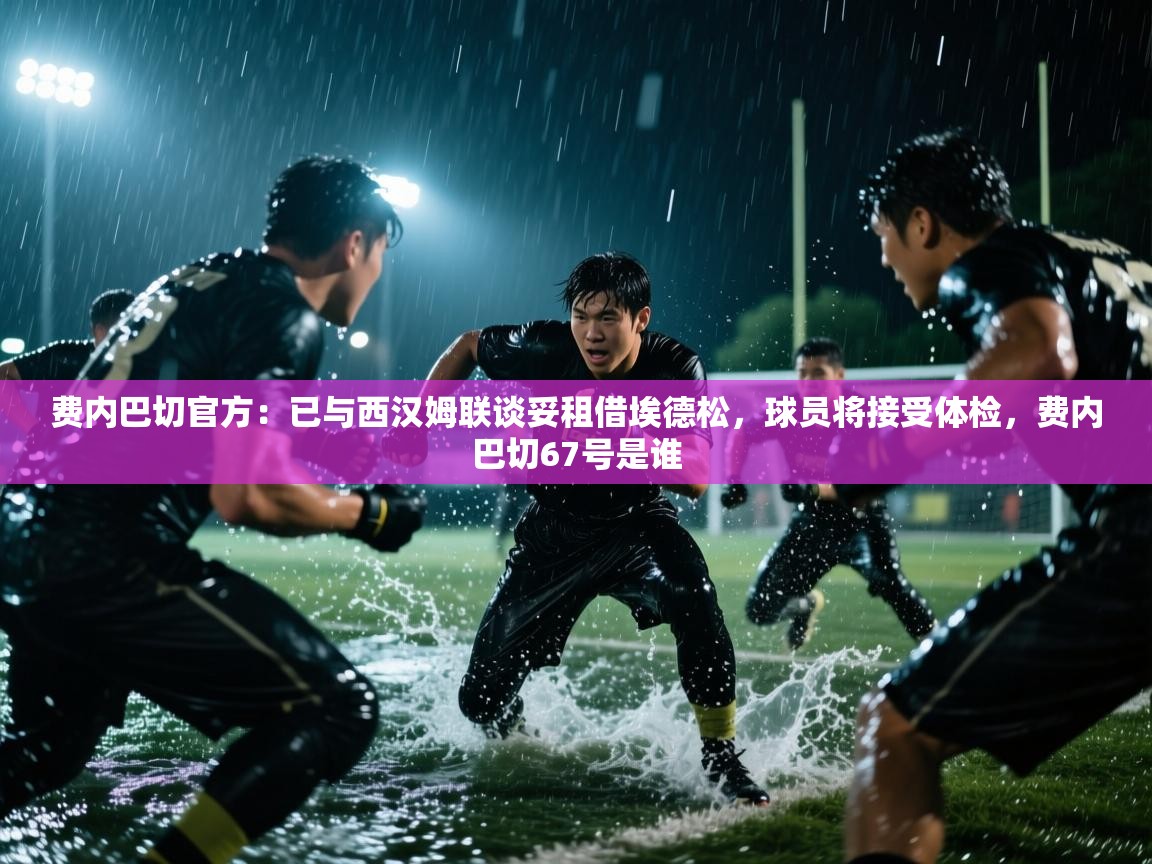 云开体育官方网站登录-费内巴切官方：已与西汉姆联谈妥租借埃德松，球员将接受体检，费内巴切67号是谁  第2张