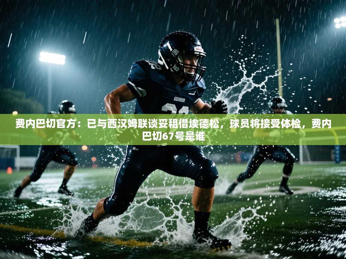 云开体育官方网站登录-费内巴切官方：已与西汉姆联谈妥租借埃德松，球员将接受体检，费内巴切67号是谁  第3张