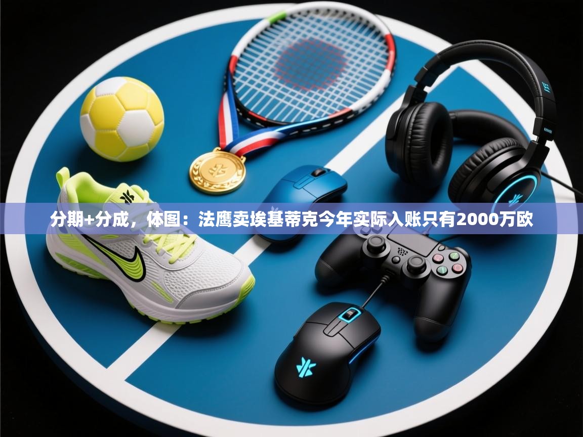 开云体育无法登录解决方案-分期+分成,体图:法鹰卖埃基蒂克今年实际入账只有2000万欧 第4张