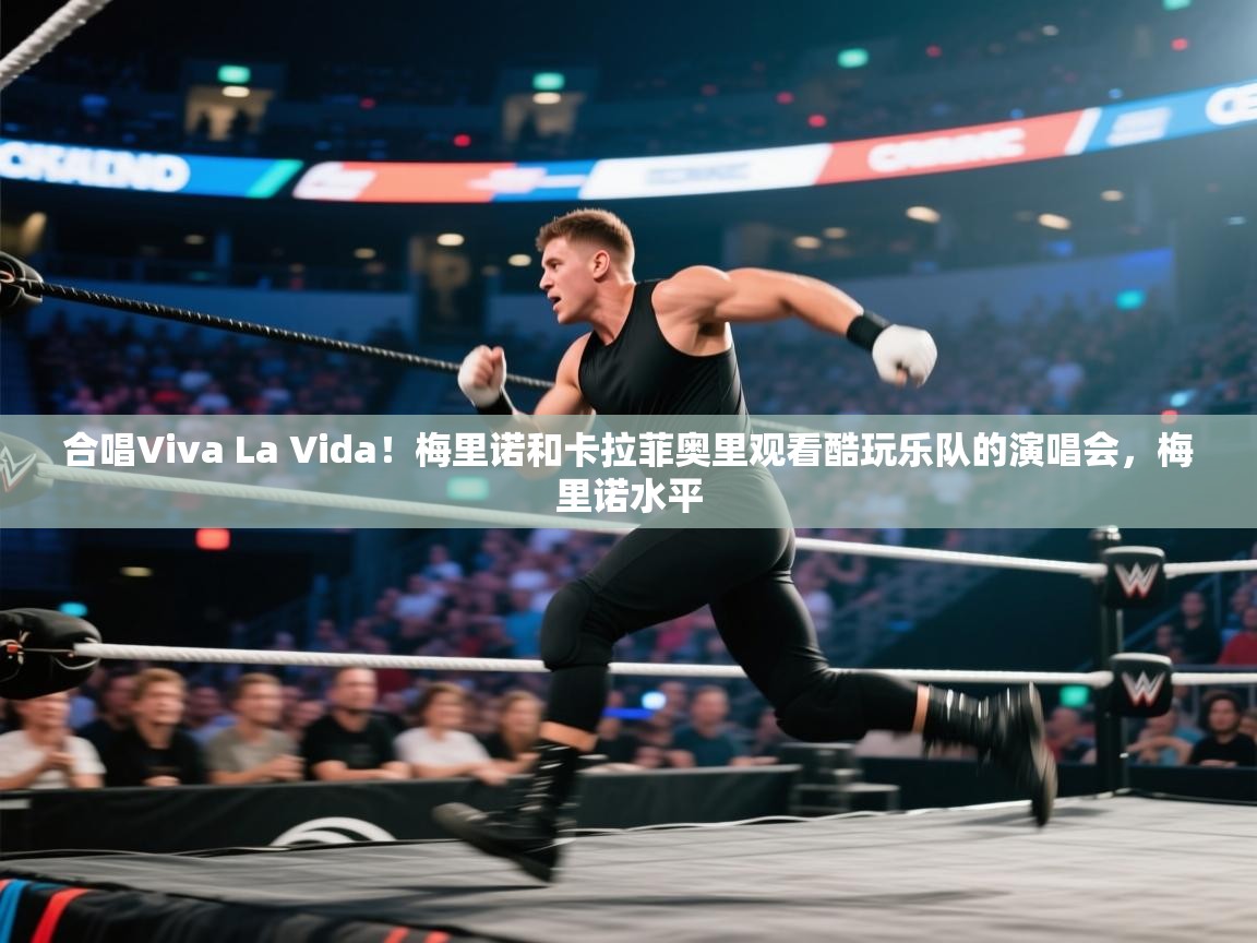 开云体育入口邀请码-合唱Viva La Vida!梅里诺和卡拉菲奥里观看酷玩乐队的演唱会,梅里诺水平 第3张