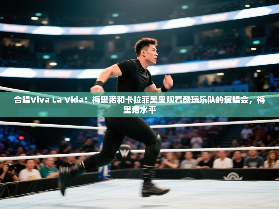 开云体育入口邀请码-合唱Viva La Vida!梅里诺和卡拉菲奥里观看酷玩乐队的演唱会,梅里诺水平 第4张