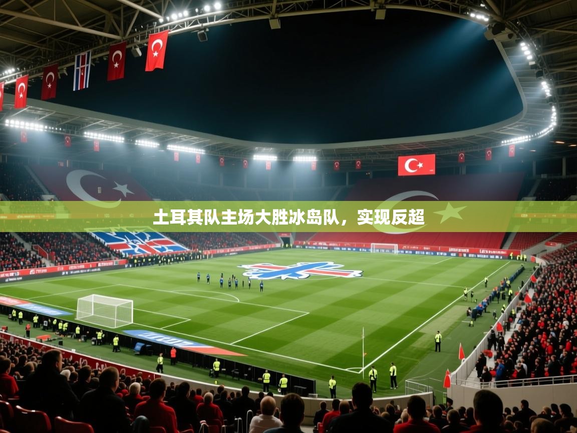 开云体育入口手机版-土耳其队主场大胜冰岛队，实现反超  第4张